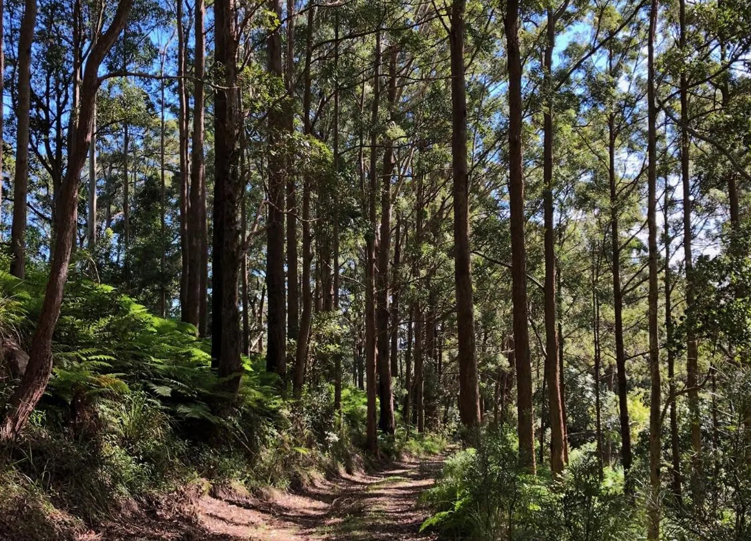 The Ridge At Maleny 3 Bedroom Deluxe Residence